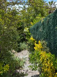 Дом с 5 спальнями и бассейном, Льорет-де-Мар, Lloret de Mar, Girona — thumbnail 108