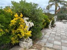 Дом с 5 спальнями и бассейном, Льорет-де-Мар, Lloret de Mar, Girona — thumbnail 18