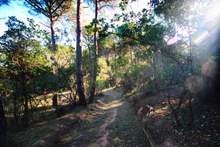 Дом с 3 спальнями и лесистым участком, Montbarbat, Montbarbad — thumbnail 42