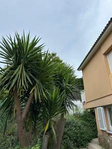 Дом с 5 спальнями и бассейном, Льорет-де-Мар, Lloret de Mar, Girona — thumbnail 16